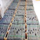 포항조경자재 이미지