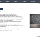제이디잉글리쉬