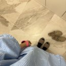 조원뽑기방 | 지난 11월부터 연말까지🐶