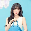 아이린 PC 이미지