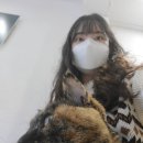 코지그루밍 이미지