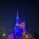 주식회사 아이티몰즈 | [도쿄여행] ✈️ DAY 4 / 도쿄디즈니랜드 / 로손 모찌롤 🍣