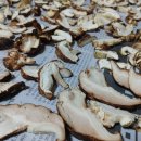 개나리공인중개사 이미지