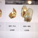 델브리또 이미지