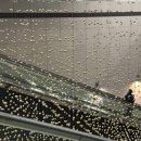 크레이지 트레인 | [일본 오사카] 3박4일 여행, 유니버셜 스튜디오 재팬 첫째날