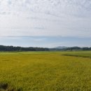 미륵당오층석탑 네이버블로그