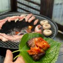 석모 포레 이미지