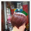 레드컷헤어샾