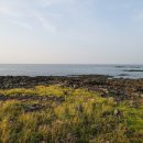 수상한 소금밭 민박 이미지