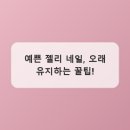 젤리네일 - 무안군 | 젤리네일
