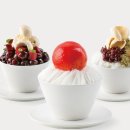 서울영양 이미지