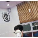 타이거멀티짐 | 구미체육관 추천! 다이어트부터 호신술까지 가능한 타이거멀티짐 솔직 후기