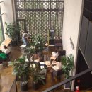 은주태양광발전소 이미지