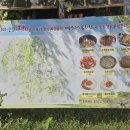 계룡산묵사랑 이미지