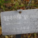 실버뷰티