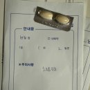 시험관 1차 난자 채취 후기 (채취 개수, 통증, 복수), 과연 신선이식할 수 있을까