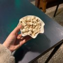 통닭원 송내점 | 부천 맛집 송내역호프 가성비 회식 장소 추천 교동치킨 솔직한 MZ 리뷰