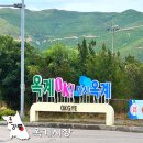 현내시장길 | 강원도 강릉 재래시장 옥계시장 맛집 5일장 날짜 진가락