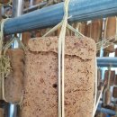 맹골마을 이미지