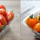 홍칼라 이미지