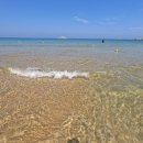 솔밭야영장 이미지