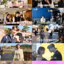 더 사랑스럽개 이미지