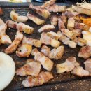 도야지한마리 이미지