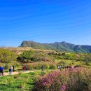 황매산 철쭉 축제 ( 비단덤 -베틀바위 - 수목원 코스 ) 이미지