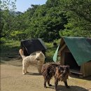 기암 | 기암괴석 힐링 산행코스 함평 모악산 등산 후기 전남 가볼만한 산 추천
