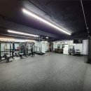 프로 피지컬 센터 이미지