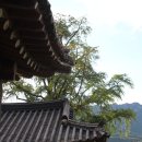 서계 고택 이미지