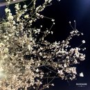 The낙원 양꼬치 이미지