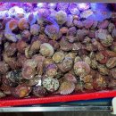 천안조개창고 이미지