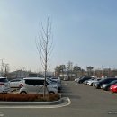 배미수영장 이미지