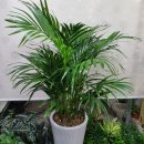 현대자동차 신평점 이미지