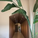 장성사 | [장성 카페 : 잇,다] 아이랑 강아지랑 가기 좋은 카페