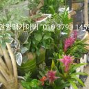 예당화원 - 예산군 예산로 35 | 예당화원