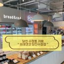 브레댄코당진