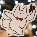 예스토플 중급(주5일반) 수강후기!!