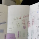 뷰티지아나 | 2025 컬리 뷰티 페스타 후기