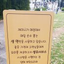 제미니국수 이미지