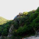11월04일 일요산행 - 영동 백화산 / 구수천 천년옛길 트레킹 이미지