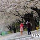 온후코리아 이미지
