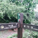 서봉산 산림욕장 1 이미지