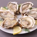 벨톤보청기 중랑지사 이미지