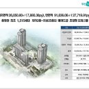 명품 Daum카페