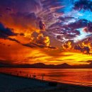 동현24시동물병원 이미지