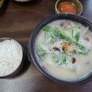 담선수제순대국밥돼지국밥 | 양산 영진돼지국밥 내 입맛에 맞게 맞춰서 나온 듯한 특별한 국밥의 맛