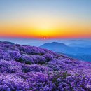 황매산 이미지
