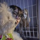 라리 경로당 이미지